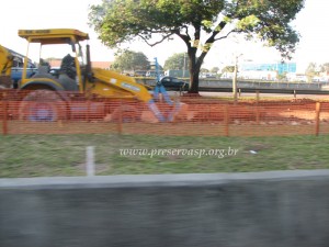 tiete-canteiro10