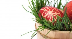 Red easter eggs, Photodune,