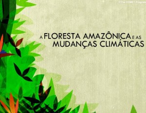 A Floresta Amazônica e as Mudanças Climáticas